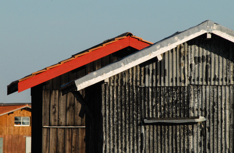 DSC_0080