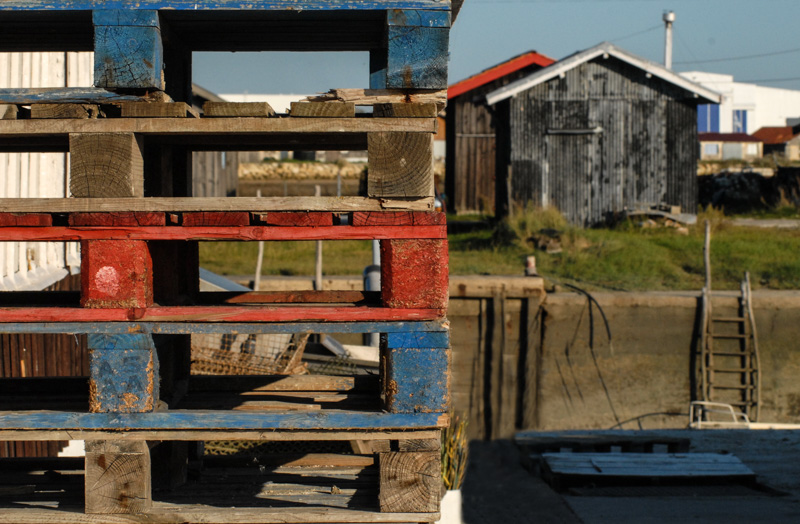 DSC_0085