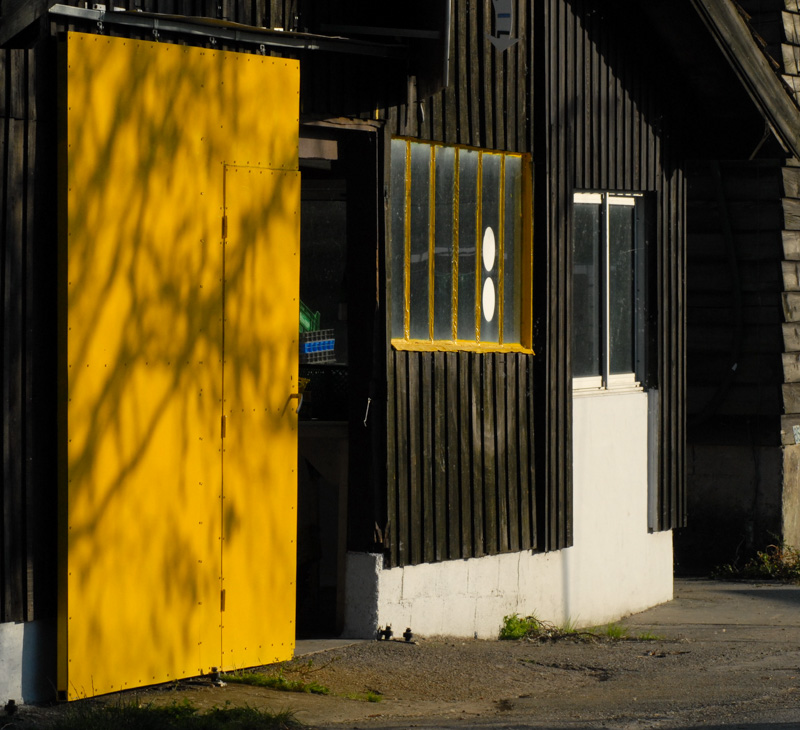 DSC_0089